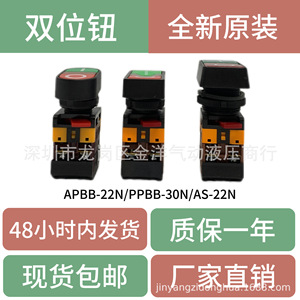 As-22N Apbb-22 25N Ppbb-30N สวิตช์ไฟแสดงสถานะแบบสองตำแหน่งพร้อมแผงควบคุมไฟ LED สีแดง ใช้ตัวเรือนพลาสติก Ip54 - Product Image 5