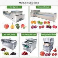 India Pitting Date Jujube Appel Fruitontpitter Steentjes Verwijderaar en Hete Olijf Cerise Ontpitter Machine
