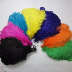 10-15cm prix usine plumes d'autruche fête <span class=keywords><strong>de</strong></span> mariage pour déco <span class=keywords><strong>plume</strong></span> d'autruche - Product Image 5