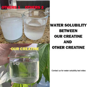 Faitury 500gクレアチン一水和物粉末200メッシュCeatine Poudreクレアチンパウダー - Product Image 3