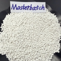 Masterbatch de Alto Rendimiento con Protección UV y Antienvejecimiento para Mayor Durabilidad en Exteriores