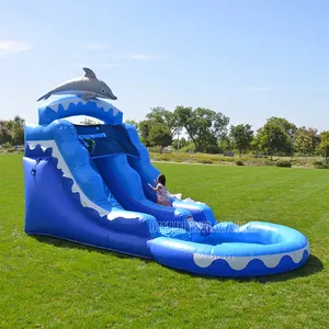 Summer Outdoor Dolphin Inflatable Water Slide with Pool