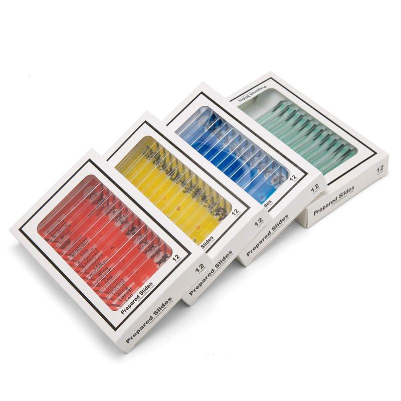 48 Pack Prepared Microscope Slides Collection
