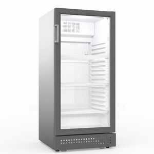 Refrigerador de exhibición de bebidas de refrigeración por aire de temperatura única con puerta de vidrio vertical comercial de 257 L para bebidas - Product Image 2