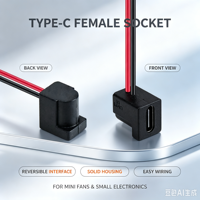 Connecteur d'alimentation USB-C femelle 2 broches LN-005 avec faisceau de câblage pour l'alimentation des petits équipements électroniques