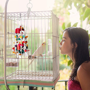 Medium to Large <strong>Parrots</strong> Eco-Friendly Christmas Bird Chew <strong>Toys</strong> Colorful Wooden Rope Cage Accessories Factory <strong>Wholesale</strong> Pets - Product Image 3
