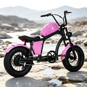 Vélo à pneus larges de haute qualité au design tendance, idéal pour les activités cyclistes en extérieur au bord du lac, modèle ABC-100, batterie au lithium longue durée - Product Image 4