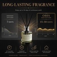 Diffuseur de parfum d'ambiance de luxe OEM 50 ml avec 4 senteurs premium pour l'ameublement de boutiques, marque privée