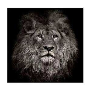 Di alta qualità all'ingrosso un pezzo di tela Anime Poster da parete arte Custom produttori dipinti murali per la decorazione della casa - Product Image 1