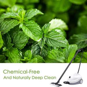 Швабра для пароочистителя высокого давления с большой емкостью - Product Image 2