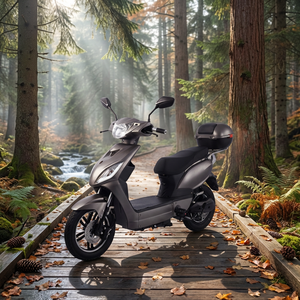 <span class=keywords><strong>Trottinette</strong></span> <span class=keywords><strong>électrique</strong></span> à assistance au pédalage haute performance 48V 45 km/h avec moteur moyeu 1000W, la plus vendue en UE, directement de l'usine OEM - Product Image 1
