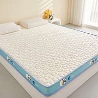 Matelas de lit éponge en silicone simple dessin animé maux de dos et sommeil confortable toute la nuit
