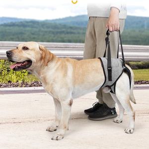 HIPHOPPET BSCI harnais de soutien de jambe arrière pour chien avec sangle de poignée pour les personnes âgées handicapées paralysie chiens ceinture de marche assistée - Product Image 3