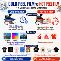 Rouleau de film PET DTF 75μ double face mat pelable à chaud et à froid 30cm 33cm 60cm 100m A3 A1 pour impression par transfert thermique sur T-shirt