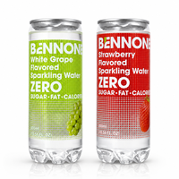 Premium fruit-geïnfuseerd bruiswater zonder suiker en vet, gezonde drank, OEM ODM blikjes bruisdranken