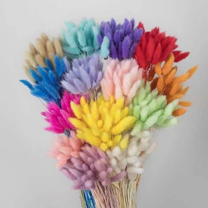 Lot de 60 fleurs séchées Queue de Lapin pour décoration de gâteaux – Fleurs éternelles en gros - Product Image 1