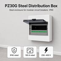 Boîtier de distribution électrique industriel en acier Chint PZ30G, disjoncteur, boîte de commutation à air PZ30G-10 100A 230V/400V