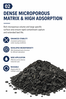 Charbon actif granulaire de coque de noix de coco à haute capacité d'adsorption, Iode 900-1200mg/g pour la filtration des eaux usées et l'eau pure, Or