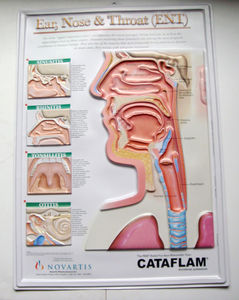 Tableau d'affiches anatomiques médicales en relief 3D en plastique/<span class=keywords><strong>pvc</strong></span> avec impression personnalisée - Product Image 3
