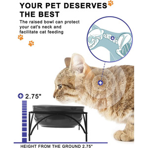 Juego de comederos dobles elevados Utung para perros y gatos, para comida y agua, diseño moderno con soporte. - Product Image 4