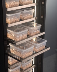 NE-525 Smart Touch <strong>Remote</strong> <strong>Control</strong> Glass Door Humidity Detection Lizard <strong>Egg</strong> Hatching 338L Reptile Incubator - Product Image 4