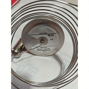 Válvula de Expansión Electrónica TE 55 067G3222 EEV para Sistemas de Refrigeración R134a, Pieza de Repuesto para Almacenamiento en Frío, en Promoción - Product Image 2