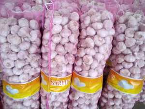 卸売バルク新鮮な白ニンニク 生ニンニク卸売価格 専門サプライヤー アホ 新鮮ニンニク 中国工場 - Product Image 2