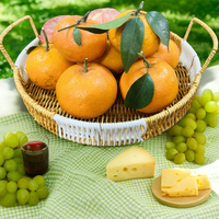 Panier de rangement en rotin tressé à la main de luxe personnalisé pour la maison, en plastique, pour pain, fruits, vêtements, petit panier de rangement en rotin