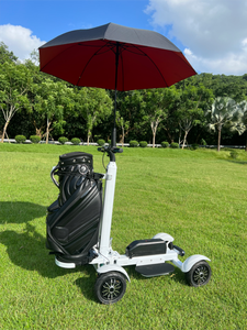 Customized Powerful Foldable Waterproof Scooter Motor Lithium Battery Long Range Farm for Non-public Road A13 A13 - Product Image 3