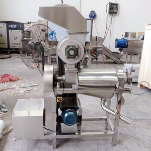 Extractor de Jugo de Uva, Jengibre y Naranja de Acero Inoxidable, Máquina Trituradora para Planta de Procesamiento de Frutas, Alta Eficiencia, Capacidad de 1000 kg/h - Product Image 3