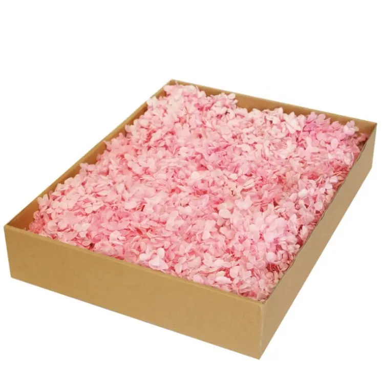 Yayun J-1268 Kleurrijke Diy 250 G/doos Hout Wit Gedroogd Geconserveerd Hortensia Bloemen