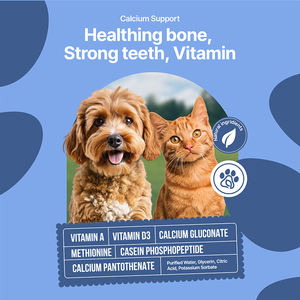 Huisdieren OEM/ODM Gezondheidsvoeding Vloeibare Supplementen met Dagelijkse Calcium Ondersteuning Functie Toegevoegd Vitamine Complex <span class=keywords><strong>in</strong></span> Vloeibare Druppels - Product Image 4