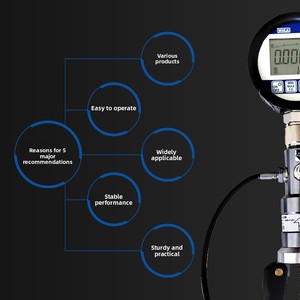 High Quality Handheld CPP30 Series Premium Gauges for Test Pump - Product Image 2