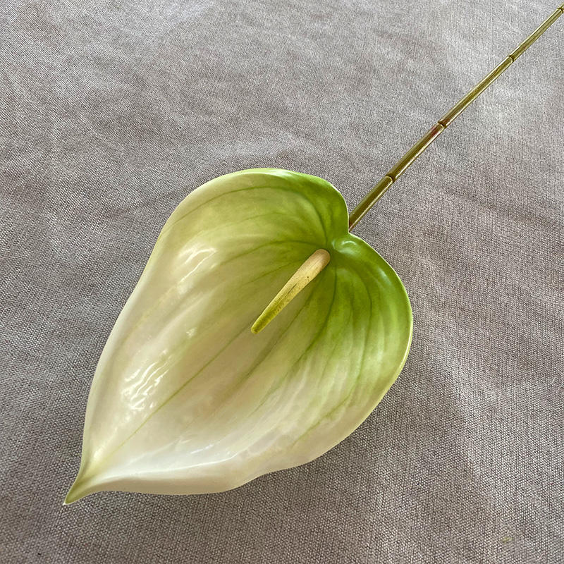 สีเขียวอ่อน