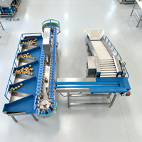 KHGX-6J Aardappel sorteermachine voor diepvriesvoedingsfabrieken met automatische hefband & testrapport
