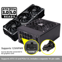 Alimentation PC de bureau DELTA SGM1300W noire monocanal 12V Platinum Full Mode ATX3/PCIE5.0/Compatible avec la série 50 (en stock)