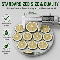 Tranches de citron vert séchées 100% naturelles, sans additifs, sans conservateurs, garniture pour cocktails, en vrac