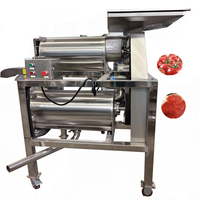 500 kg/uur fruit- en groentesapmachine, appelpers/machine voor appelvulling, zaadverwijderaar/mango-pulpmachine