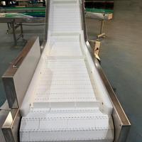 Hygiënische, duurzame, modulaire transportband van voedselveilige kwaliteit voor fruit- en groenteverwerkingslijnen