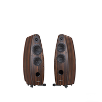 Enceintes T6 doubles de 6,5 pouces en bois, tour Hi-Fi passive pour home cinéma et audio de salon