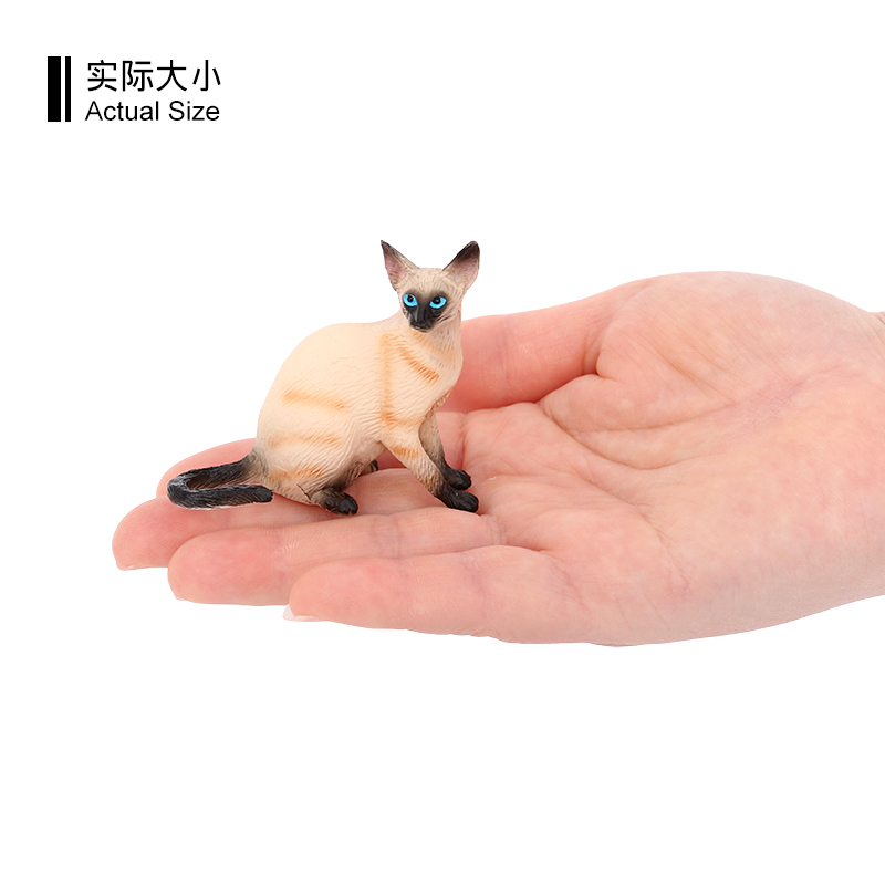 3639 Gatto siamese