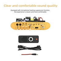 Placa amplificadora BT D900 de 2,1 canales, 100 canales, 50W + 50W + W, alta potencia, 1/2/2/2