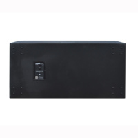 STX828S Double Subwoofer Audio Professionnel Haute Puissance 18 Pouces pour Spectacles Scéniques et Bars
