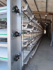 H loại tự động gà trứng lớp gà lồng Gà đẻ gà lồng gia cầm trang trại thiết bị - Product Image 5