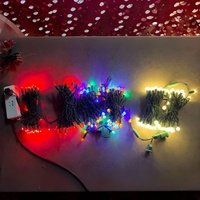 Guirlandes lumineuses LED G12 en PVC imperméables de qualité commerciale IP65 pour la décoration extérieure des fêtes