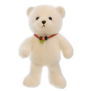 新款到货熊公仔毛绒公仔玩具可爱泰迪熊公仔幸运熊情人节礼物给女朋友情侣