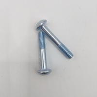 Vis à tête large non standard de fabricant renommé, revêtement zinc blanc, échantillons gratuits, consultation gratuite, devis