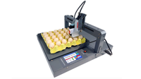 Nueva Impresora Automática de Alta Calidad TIJ con Tinta UV para Codificación de Huevos y Marcado de Fecha de Caducidad