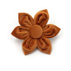 <span class=keywords><strong>2026</strong></span> Populaire trend: zachte fluwelen hondenhalsband met metalen gesp en hondenriem, bloemvormige accessoires kunnen in de halsband worden gedragen - Product Image 4