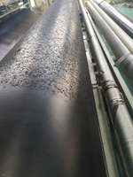 Bâche géomembrane portable en HDPE/EVA pour pisciculture, bassin temporaire pour événements extérieurs